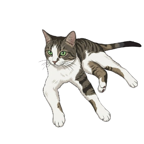 Tipper — our hydration and play tester